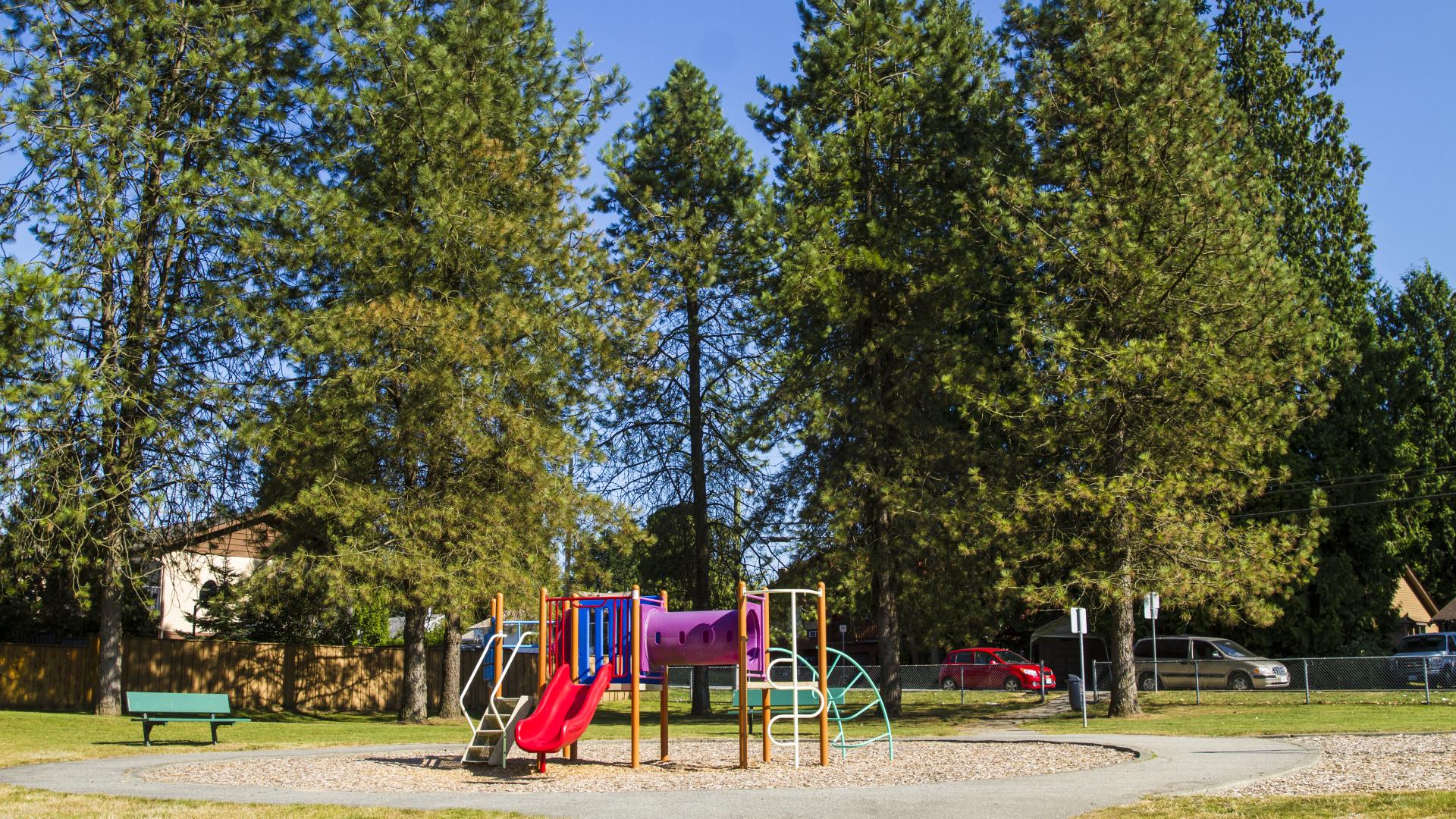 In an open and sunny park, a colourful playground looks small next to several towering evergreens.